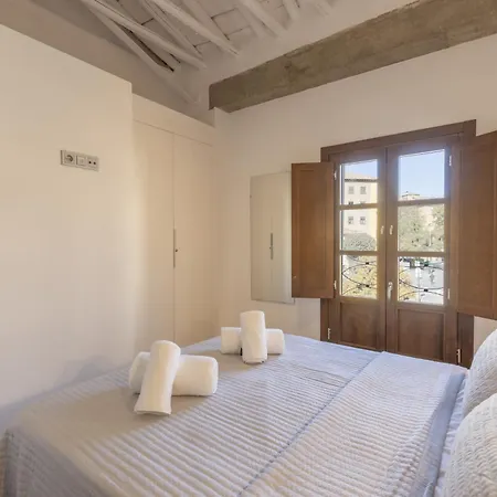 Daire Marvelous 7 Min Cathedral+ Free Parking Granada